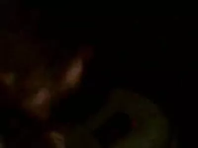 A király kakas videója (Jasmine Webb)